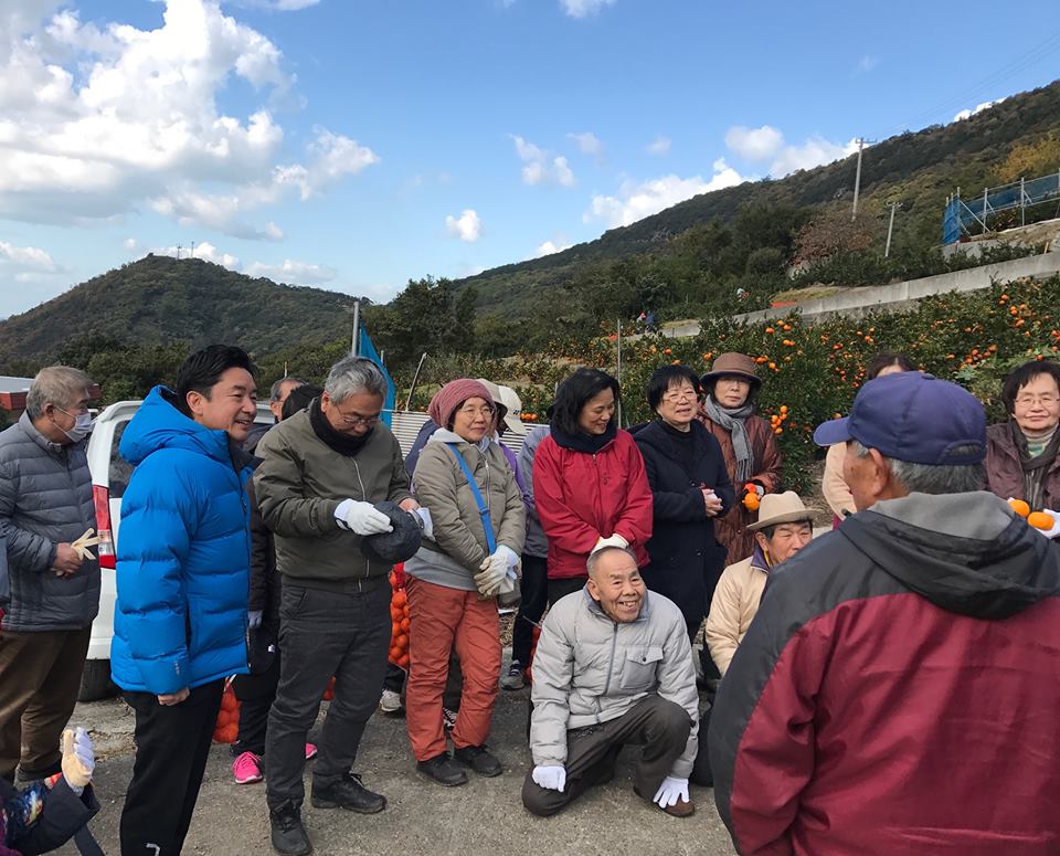 坂出市青海でみかん狩り(小原紅早生)
